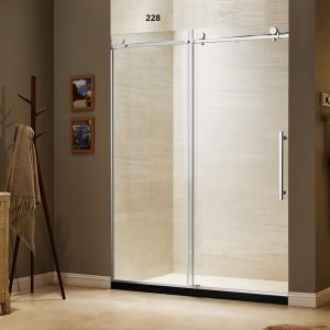 Dreamwerks 60 in. W x 79 in. H Sliding Frameless Shower Door in Stainless Steel with Clear Glass-555