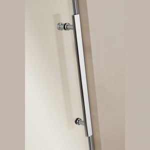 Dreamwerks 60 in. W x 79 in. H Sliding Frameless Shower Door in Stainless Steel with Clear Glass-605