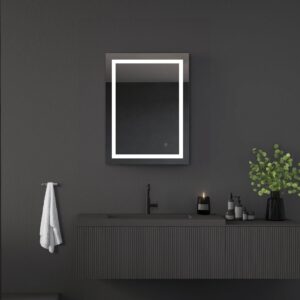 Riga 20" W x 26" H LED Mirror with Dimmer and Defogger - Image 15